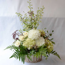 画像をギャラリービューアに読み込む, 白色が基調のアレンジ M